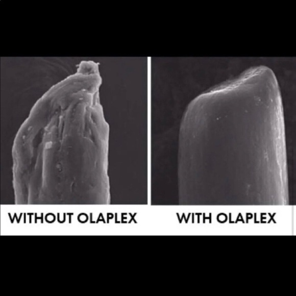 NEW! OLAPLEX Stylist Travel Set - Picture 5 of 6